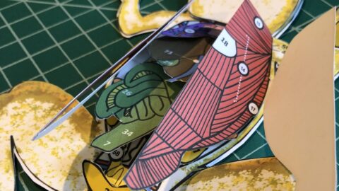 Inside Out Science: Dissection Models for All