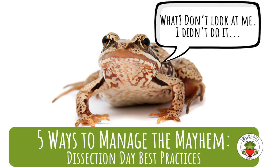 5 tips to manage dissection chaos without losing your mind! www.insideoutsci.com