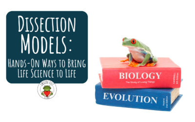 21 Tips for Using Dissection Models with Every Life Science Topic