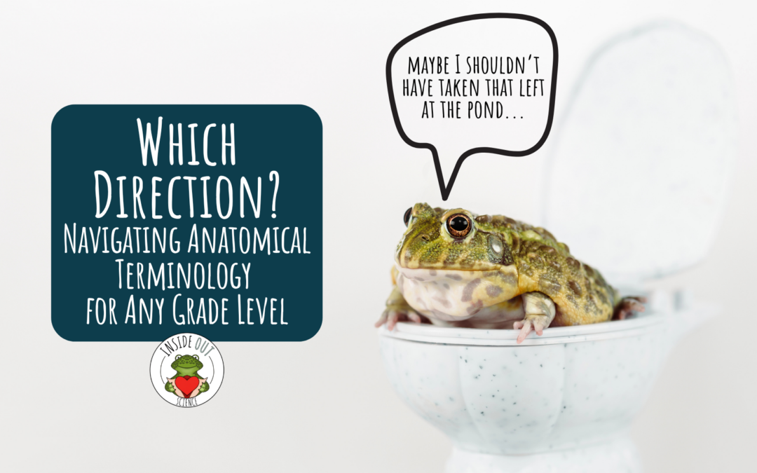 Which Direction?: Navigating Anatomical Terminology for Any Grade Level