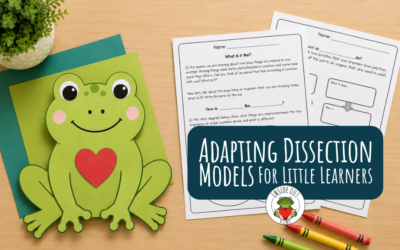 Adapting Dissection Models for Little Learners