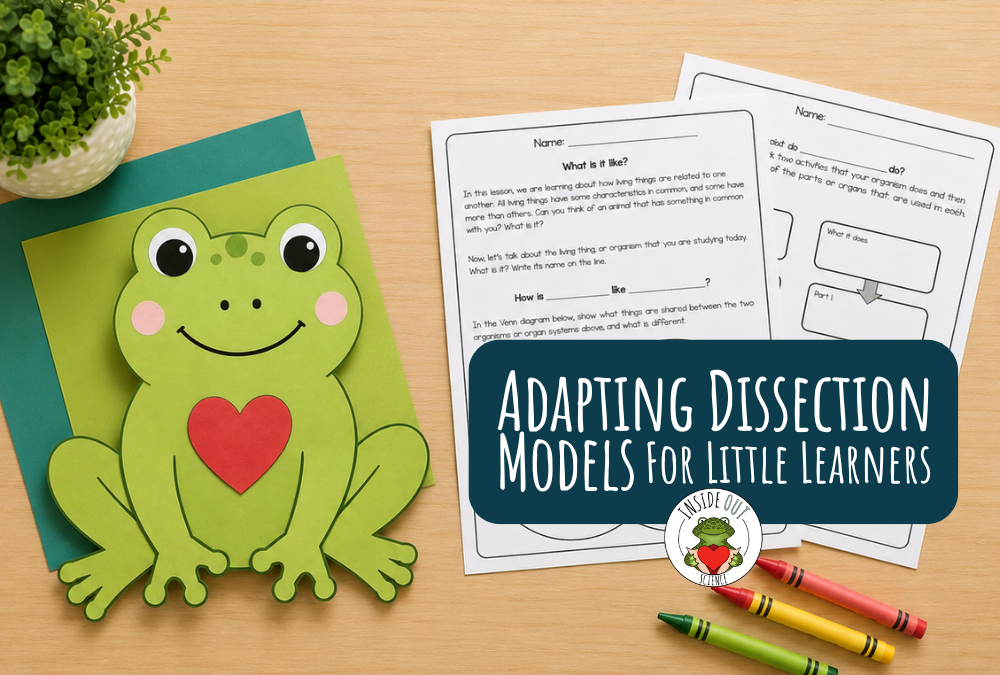 Bring dissection models to your little kiddos with these simple modifications. www.insideoutsci.com