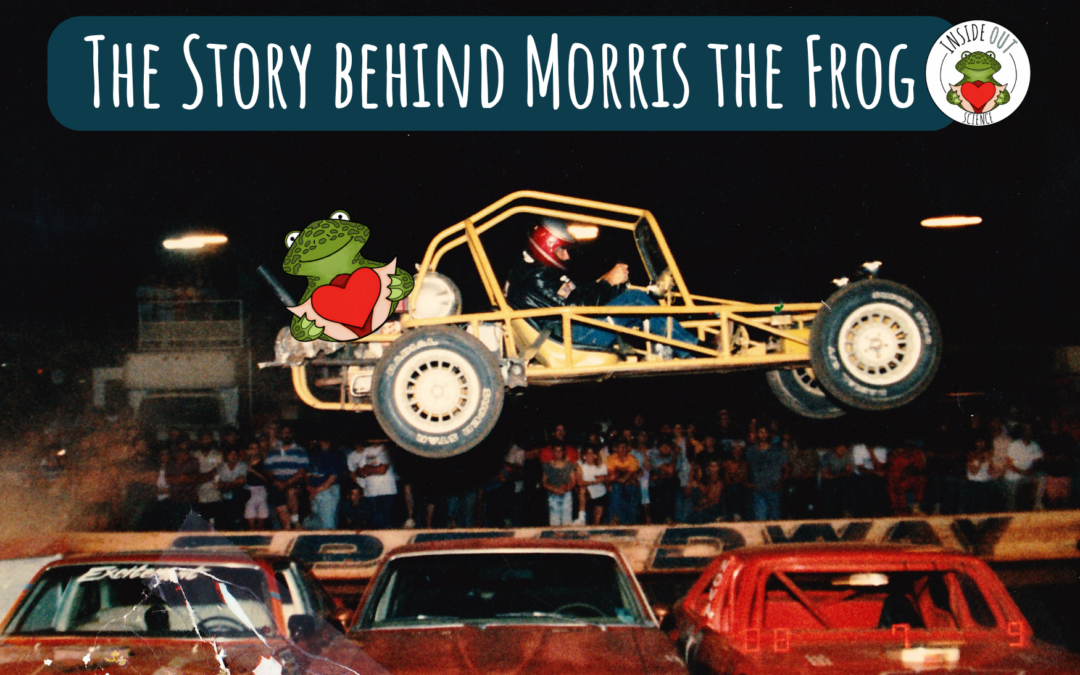 What’s the story behind Inside Out’s Morris the Frog?