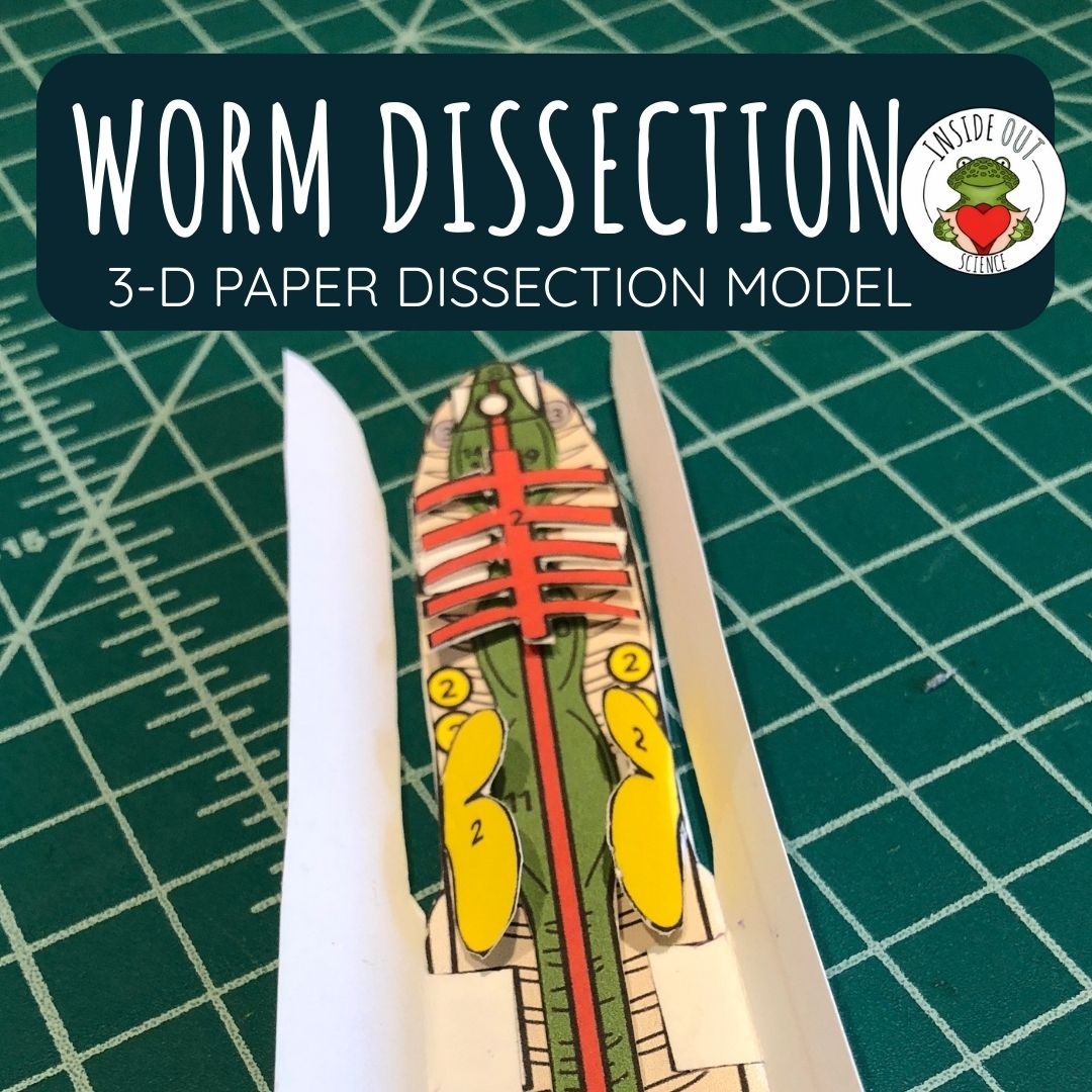 Getting Nerdy Dissection is now Inside Out Science! Humane paper dissection lessons for your eco-friendly explorers!