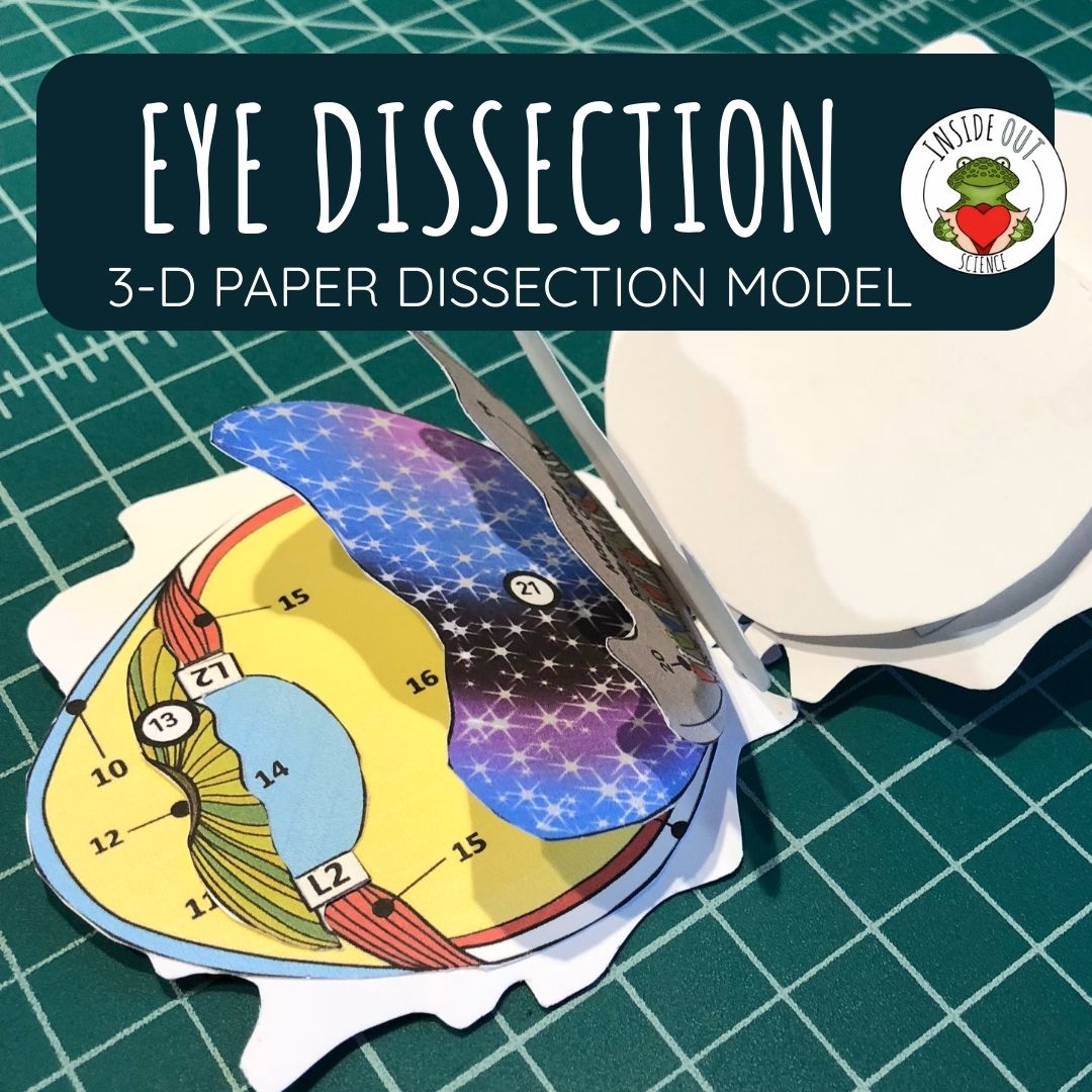 Getting Nerdy Dissection is now Inside Out Science! Humane paper dissection lessons for your eco-friendly explorers!