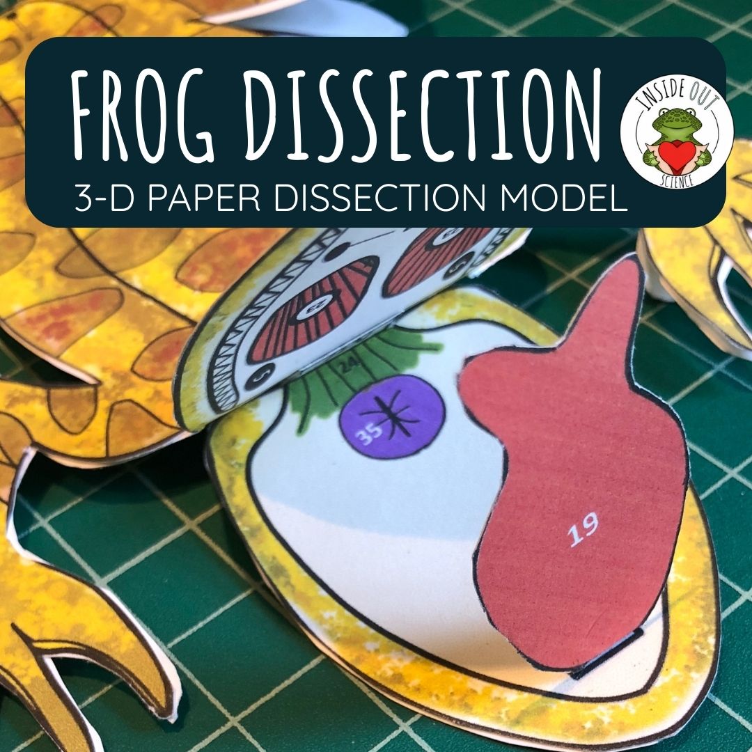 Getting Nerdy Dissection is now Inside Out Science! Humane paper dissection lessons for your eco-friendly explorers!