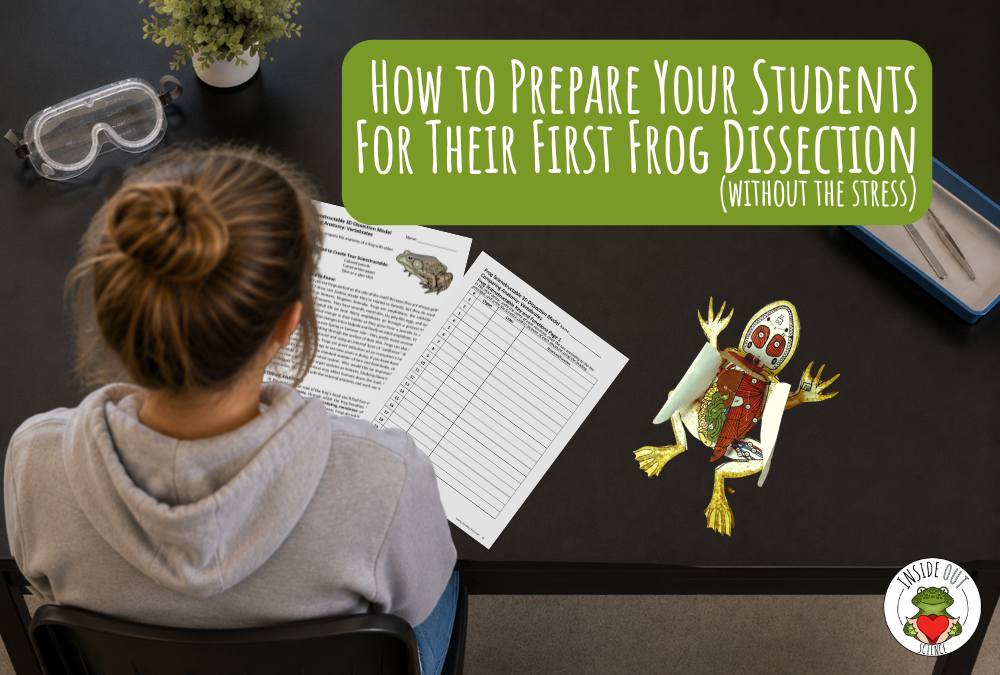 How to Prepare Students for Their First Frog Dissection (Without the Stress)