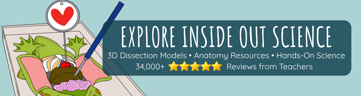 Inside Out Science 3D dissection models, anatomy resources and hands-on science