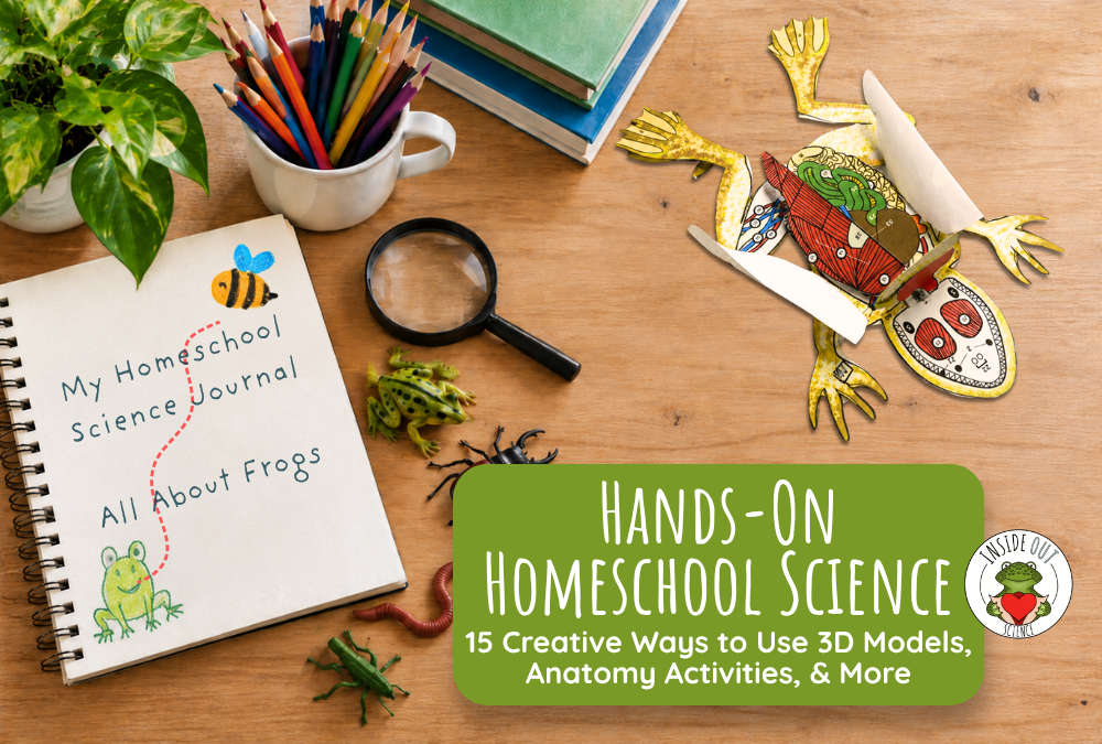 Hands-On Homeschool Science: 15 Creative Ways to Use 3D Models, Anatomy Activities, and More