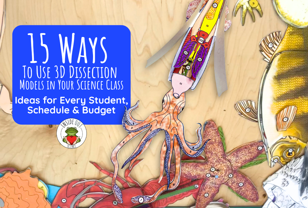 15 Ways to Use 3D Dissection Models in Your Science Classroom: Ideas for Every Student, Schedule & Budget
